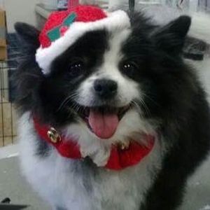 Meet your Posher, Renee'